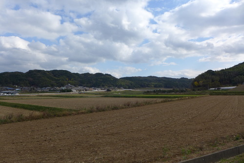 P1130068