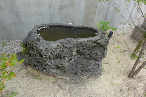 P1110050