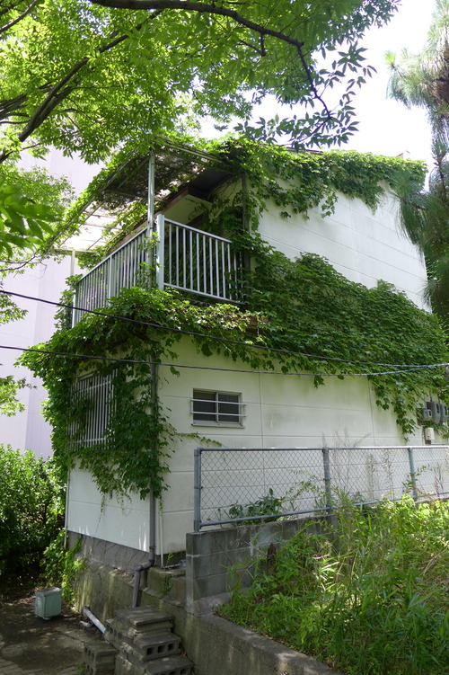 P1270556