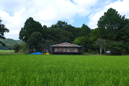 P1170298
