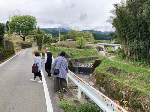 IMG_3684