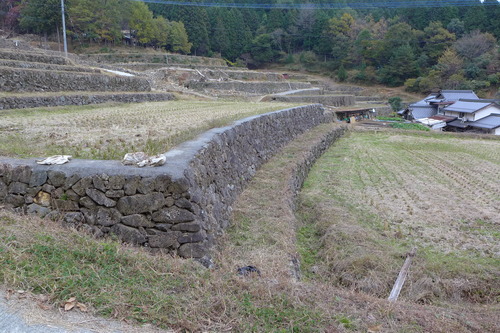 P1280894