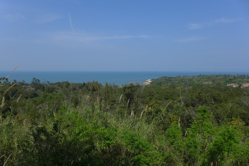 P1430145