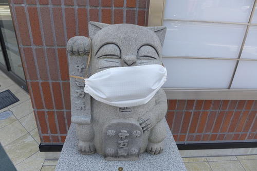 ニャーもなくてもネコんだら困るし・・・・いよいよ徹底マスク社会へ！
