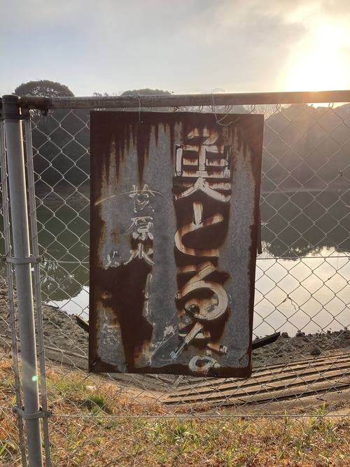 IMG_1205