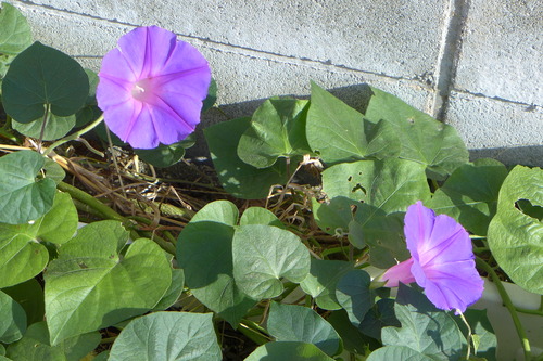 P1270888