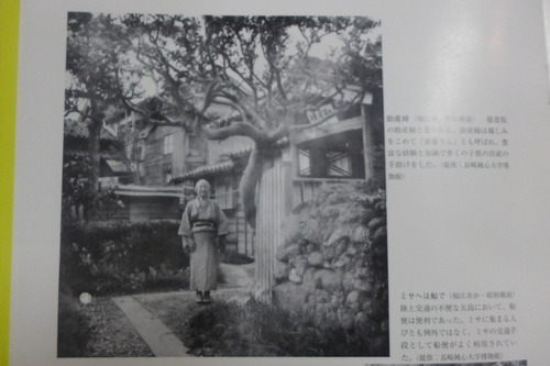 P1430799