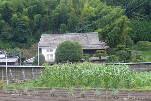 P1300326