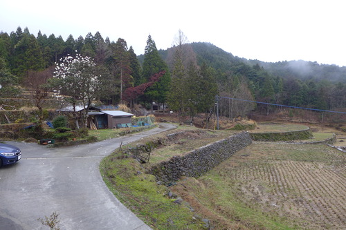 P1100128