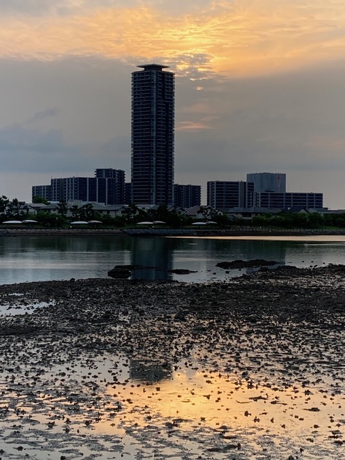 20260605香椎浜の夕景もしくは紫陽花百花繚乱