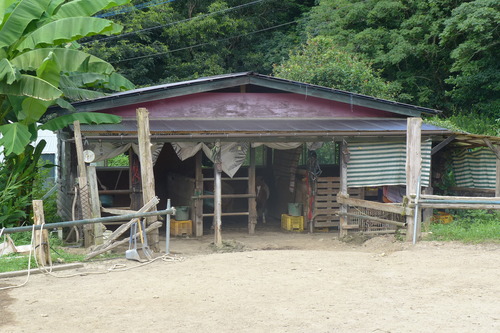 P1160680
