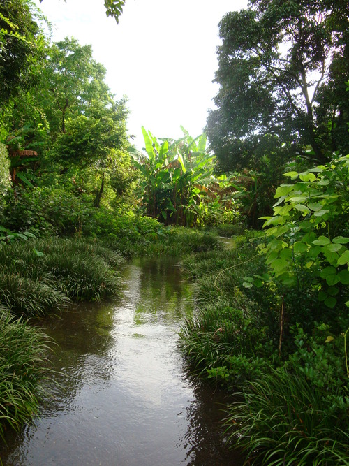 DSC09906