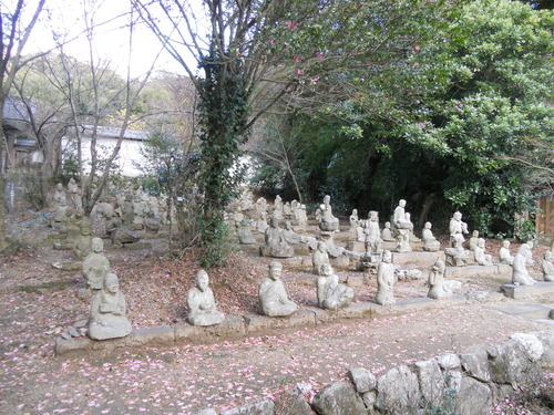 DSCN2394