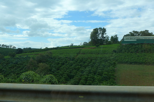 P1050685