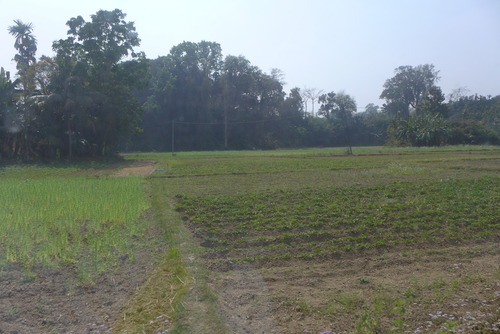 P1450578