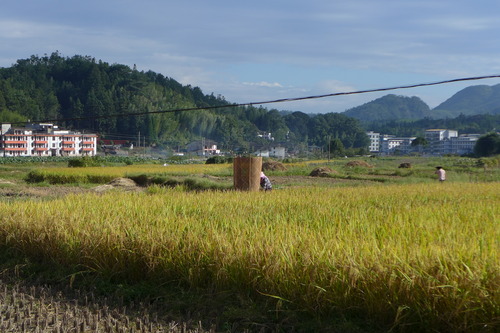 P1460396