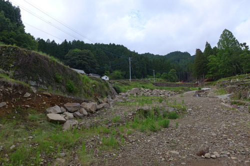 P1140042
