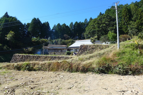P1260128