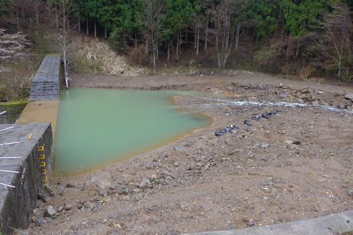 P1100142