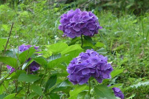 P1200719