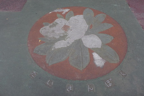 P1500589