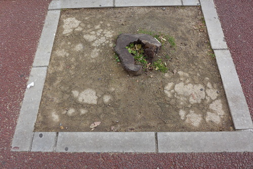 P1140048