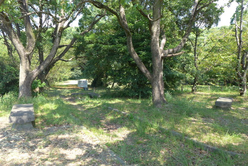 P1170848