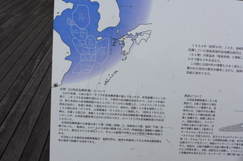P1140565