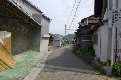 P1050991