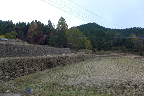 P1280888