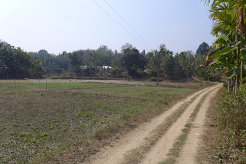 P1450585