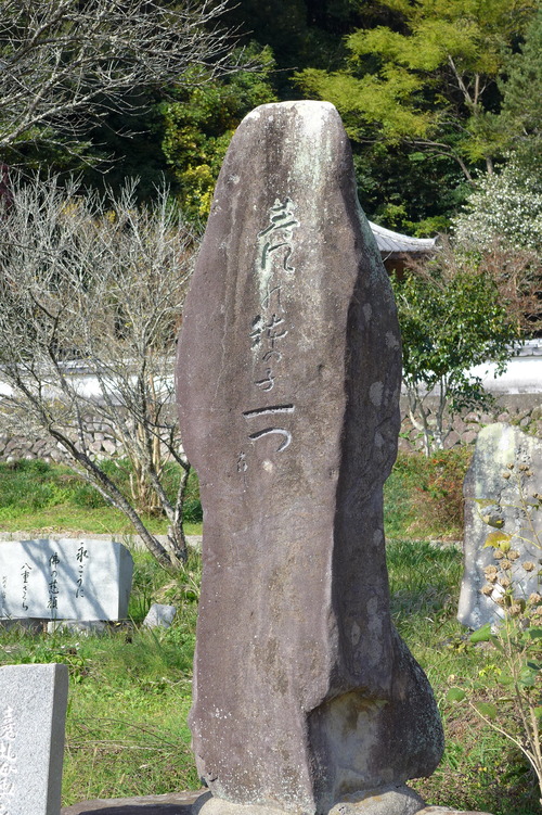 P1400224