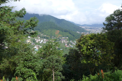 P1170499