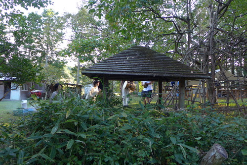 P1180284