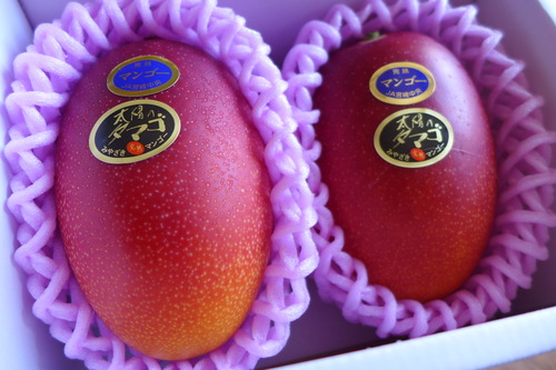 2024年5月12日（日）母の日。太陽のタマゴって？！次男嫁から嬉しい贈り物、母は大感激！