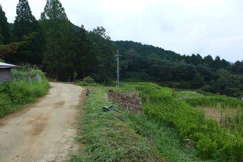 P1200264