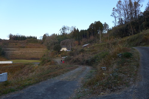 P1060784
