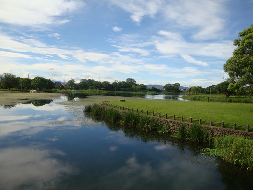 DSC09973