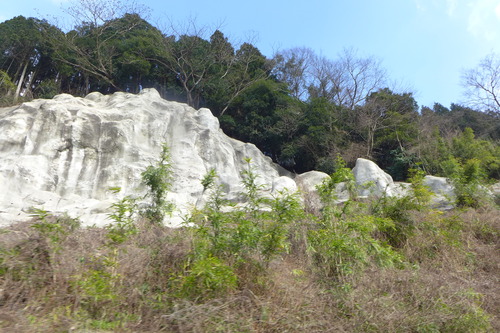 P1550248