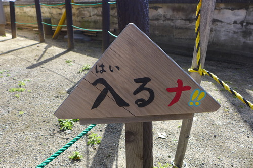 P1040567