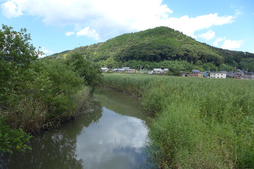 P1080960