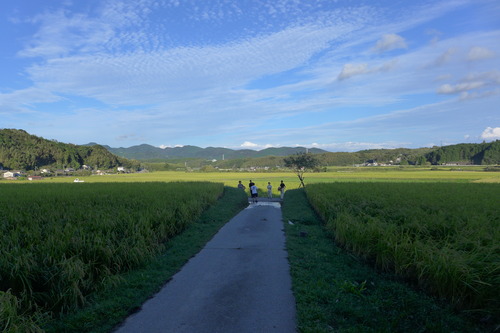 P1180277