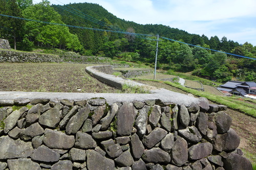P1110236