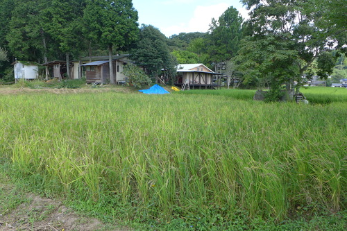P1170292