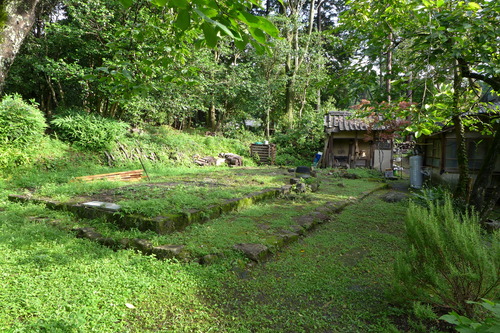 P1160124