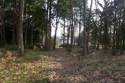 P1060349