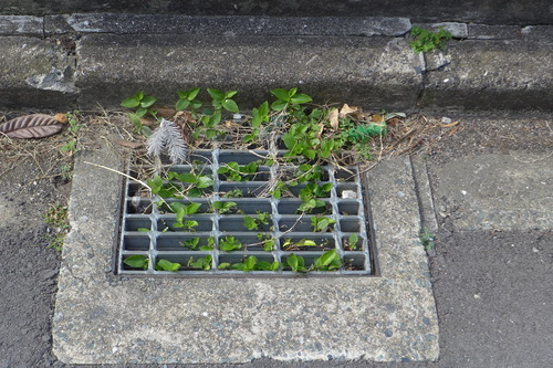 P1500310