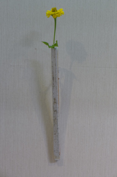 P1240240