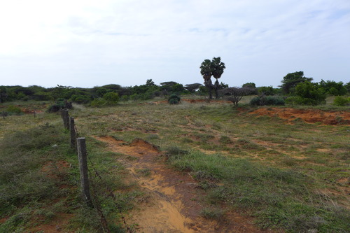 P1190951