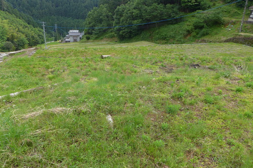P1140083